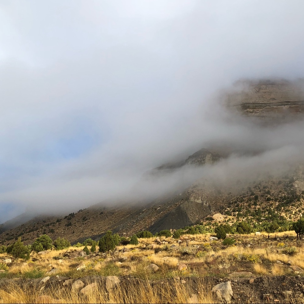 Hi, I’m Amy. Avid thrifter and crafter.